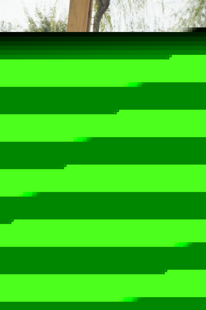 哈啦大发师 产品图片