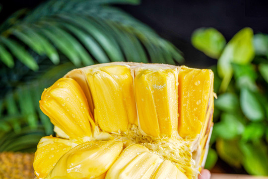 复活她 产品图片