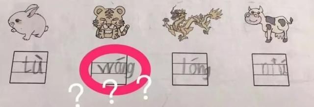 夏伊洛 产品图片