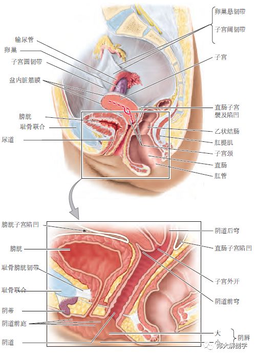 夏日示爱 产品图片