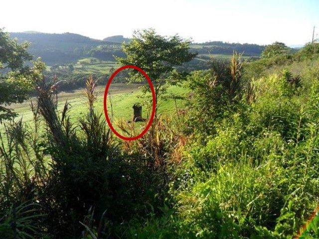 假日旅途：蒂罗尔之旅 相关产品