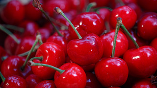 像小强一样活着 相关产品