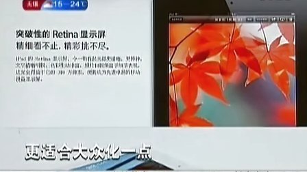 土拨鼠之日 产品图片