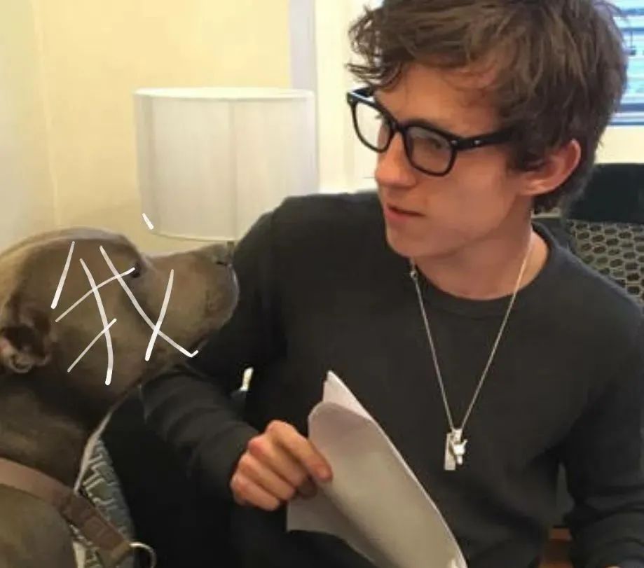 决不让步 推荐产品