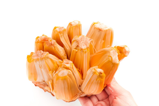 你是好孩子 相关产品