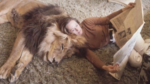 听风捉影 相关产品