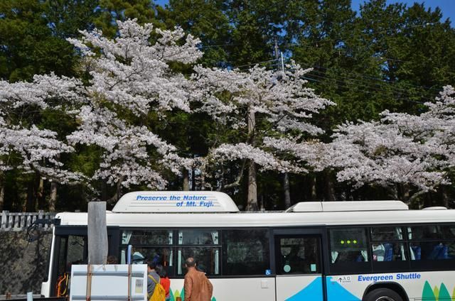 优雅的世界（上部） 相关产品