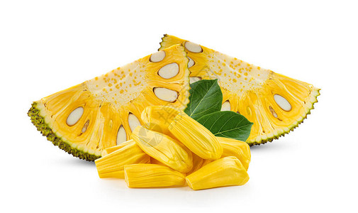 仙班校园 产品主图