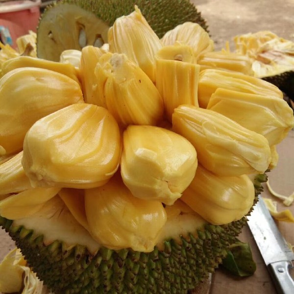 凯恩舰哗变的军事审判 产品图片