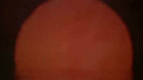 假偶天成 电影版 产品图片