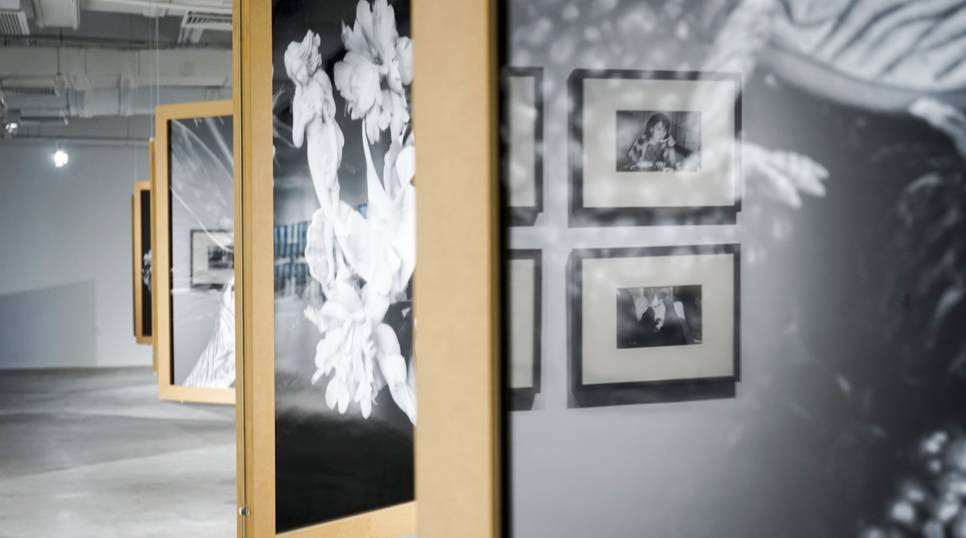 兄弟出头天 产品图片