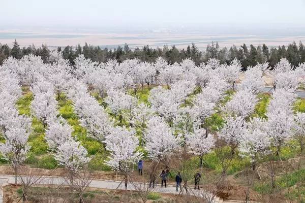 地堡游戏 产品主图