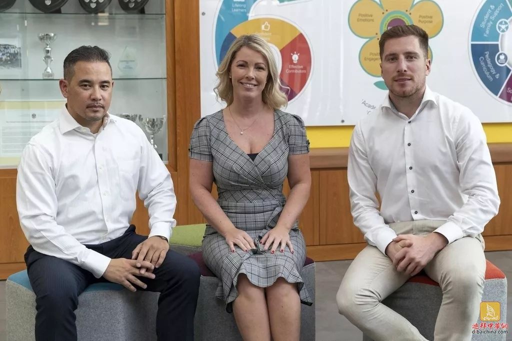 叶落情未了 相关产品