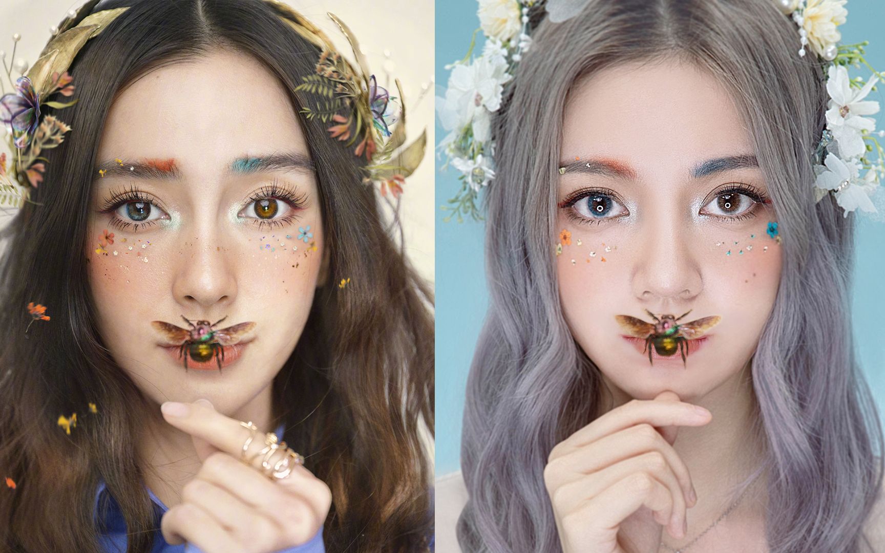 伊格尔和鹤的旅程