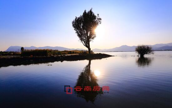 偷情先生 相关产品