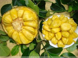 史酷比与蝙蝠侠：英勇无畏 相关产品