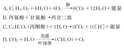 冒险俱乐部 推荐产品