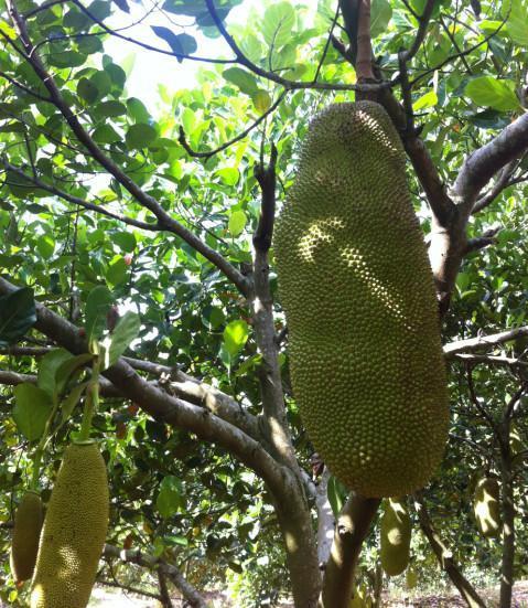 在地下城寻求邂逅是否搞错了什么：俄里翁之箭 产品图片