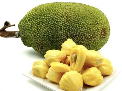 厄勒克特拉 2023