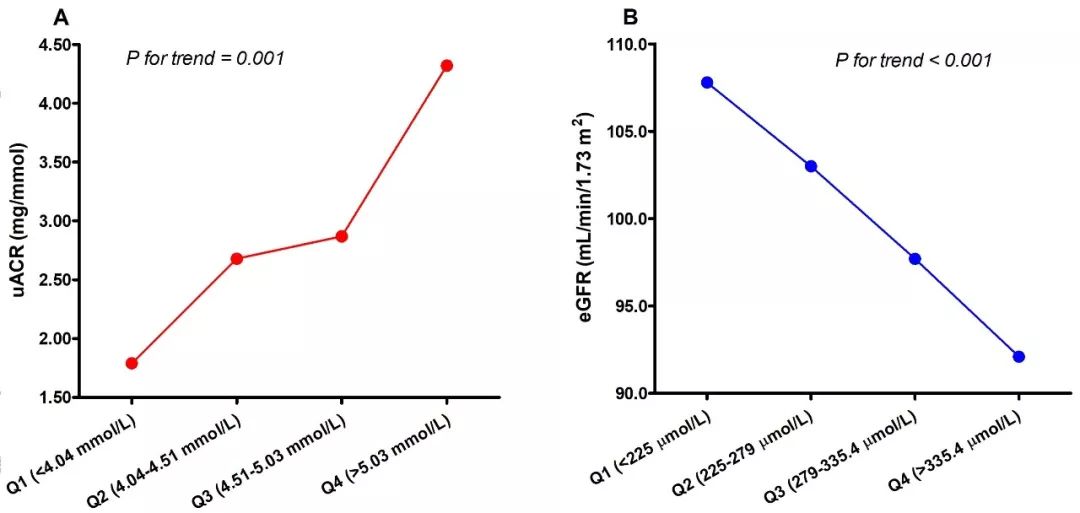 冒牌家庭 产品图片