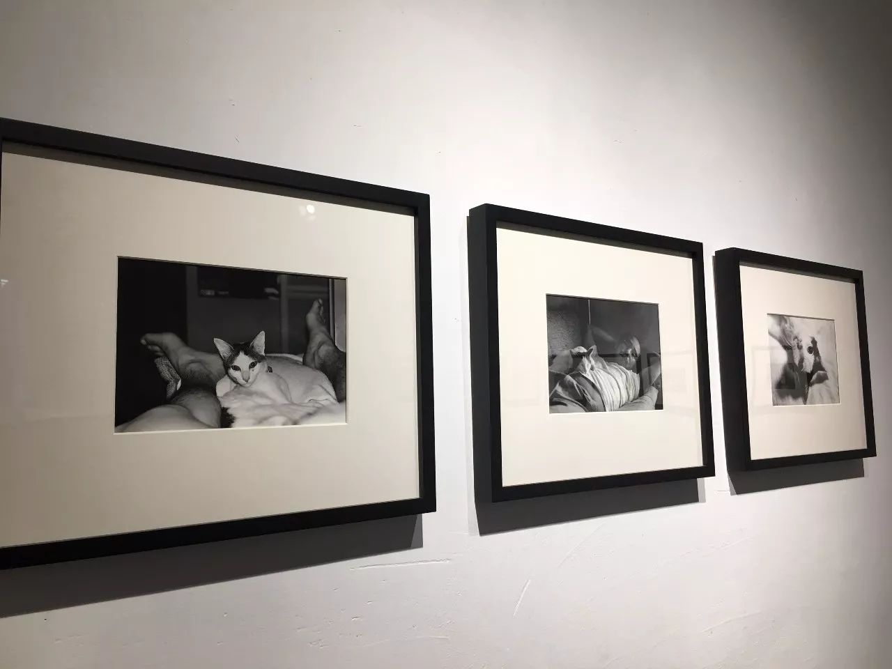 墨西哥人 相关产品