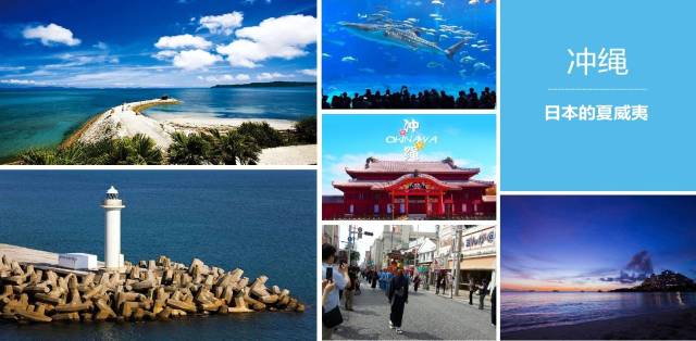 代码危机 相关产品