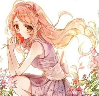 傻瓜天堂 相关产品