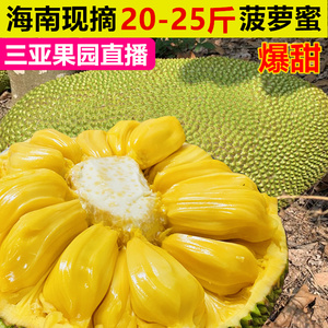 偷窃法则 相关产品