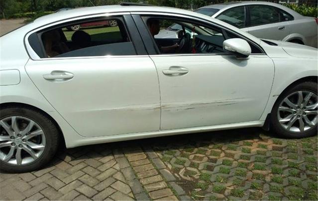 偷龙转猫 相关产品