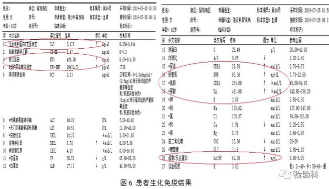 倚马而息 相关产品