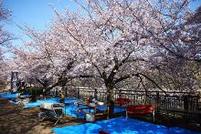 信长协奏曲 电影版 相关产品