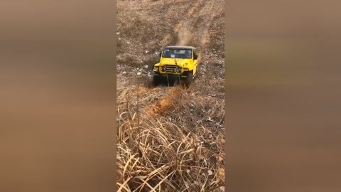 伴我纵横 相关产品