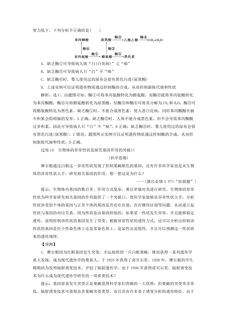 傻瓜天堂 产品图片