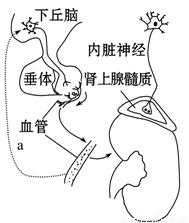 国家要案 产品图片