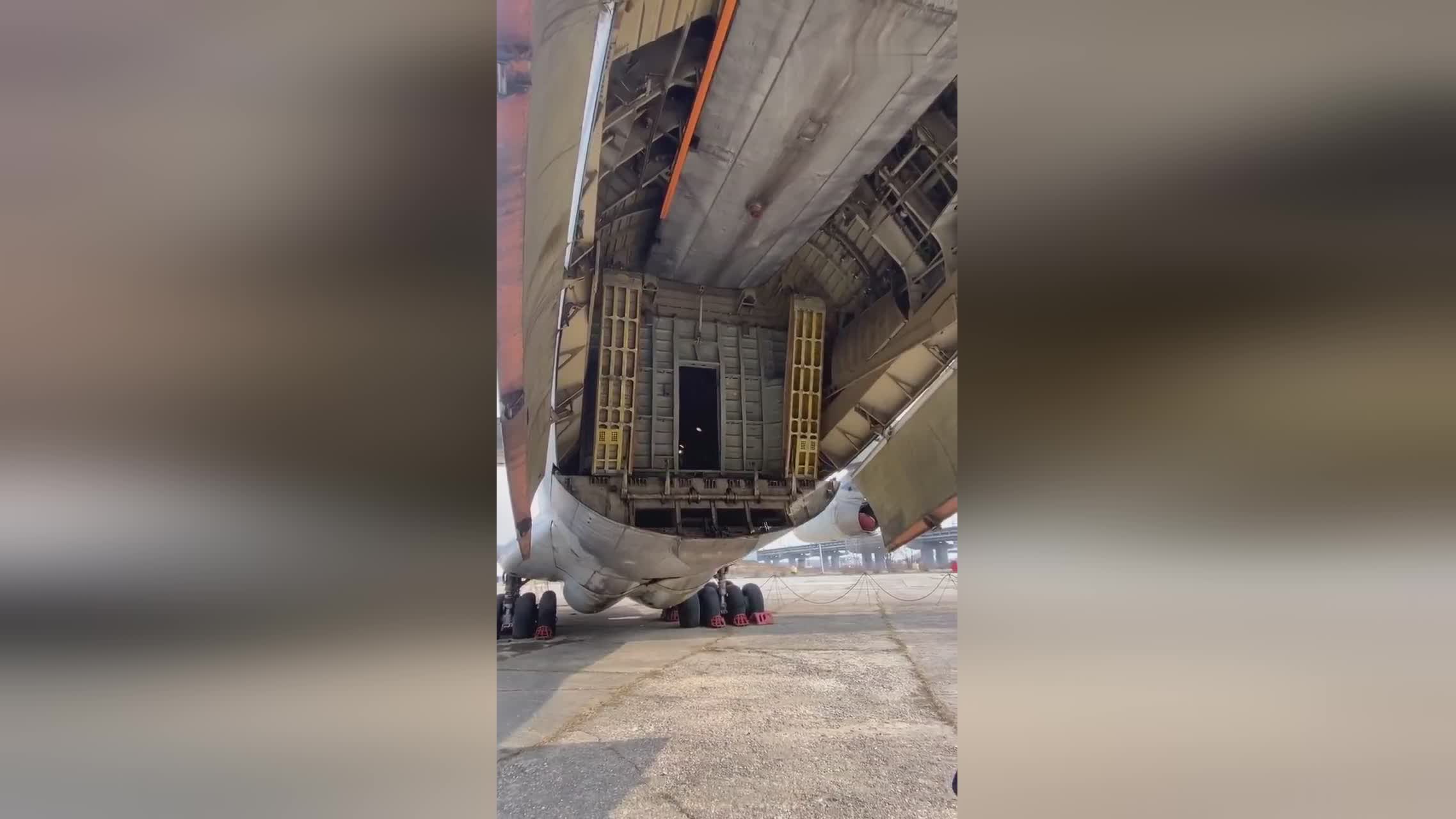 兄弟姐妹四十 相关产品