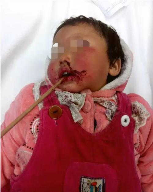 傲慢与善良 相关产品