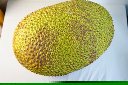 僵尸山雀 产品图片