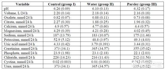 出租家人 普通话 产品图片