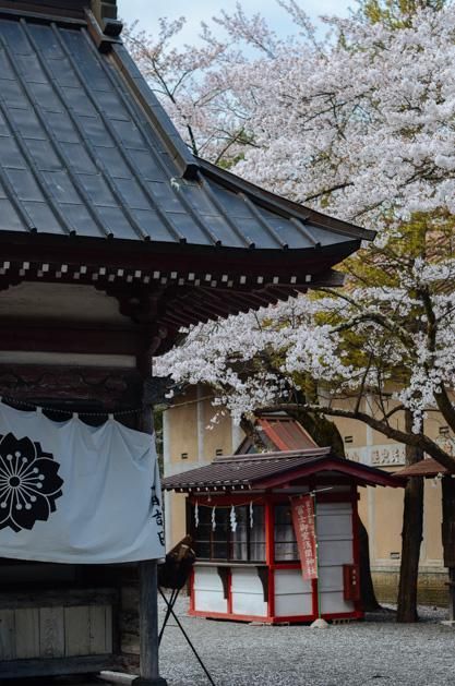 傲慢与偏见 原声版