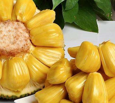 假面病房 相关产品