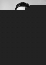 保沃历险记 相关产品