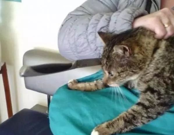 侠僧探案传奇之催命符 相关产品