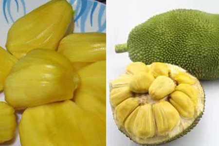 在巨大的洋葱之下 相关产品