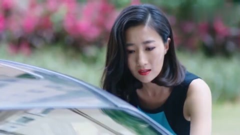 偷龙转猫 相关产品