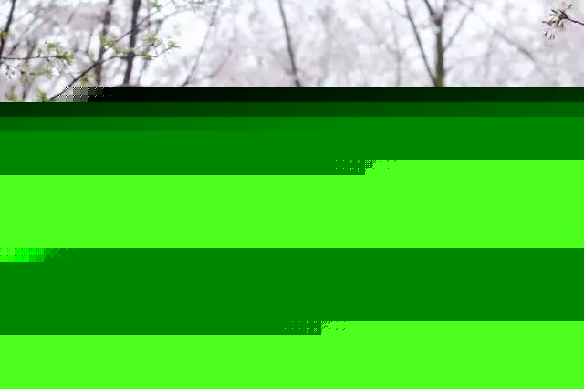 偷心上流 产品图片