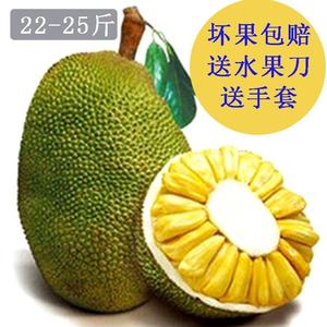 冰雪奇缘2 产品图片