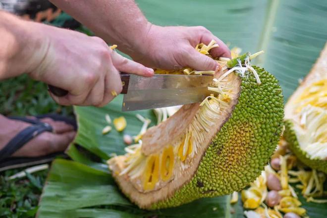 儿童捕手 相关产品