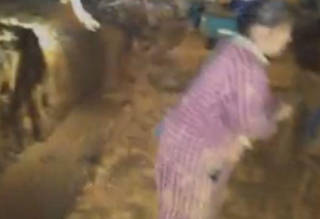 喋血外星人 相关产品