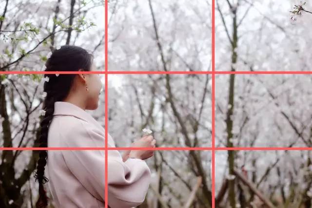 像小强一样活着 相关产品