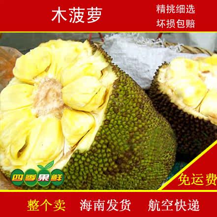 中国乒乓之绝地反击